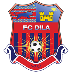 logo Dila Gori