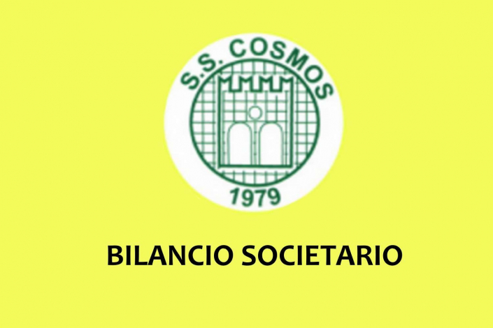COSMOS | bilancio anno 2019