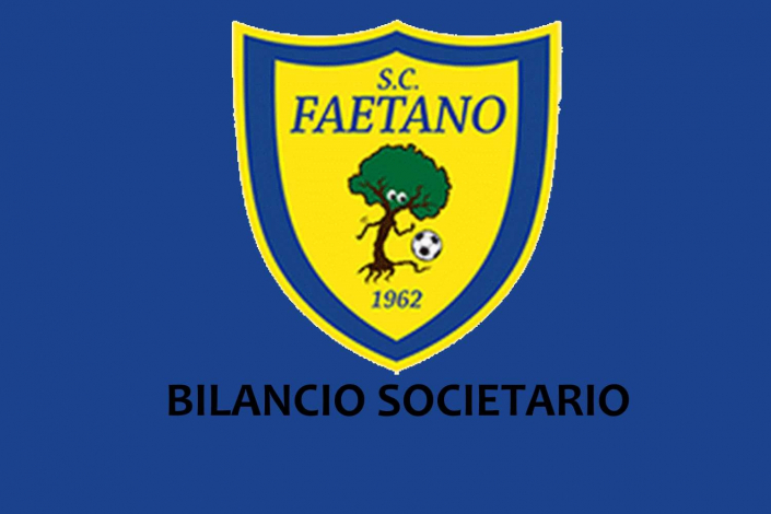 FAETANO | bilancio anno 2019