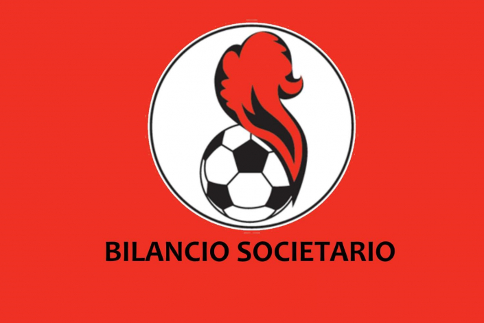 PENNAROSSA | bilancio anno 2019